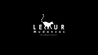 Lemur Mudanzas-logo