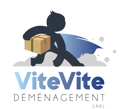 ViteVite Déménagement-logo