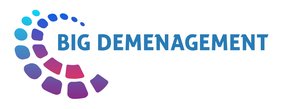 Big Demenagement-logo